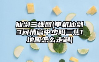  仙剑3问情篇装备怎么获得,仙剑奇侠传三问情篇什么装备好？